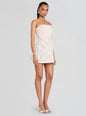 Sophia Lace Mini Dress