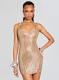 Theolonia Sequin Dress
