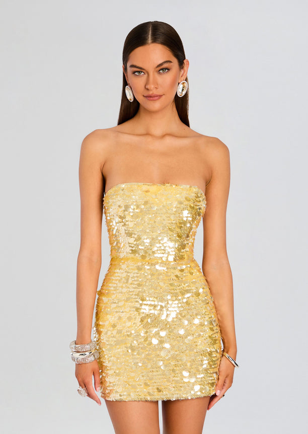 Nolia Sequin Embellished Dress