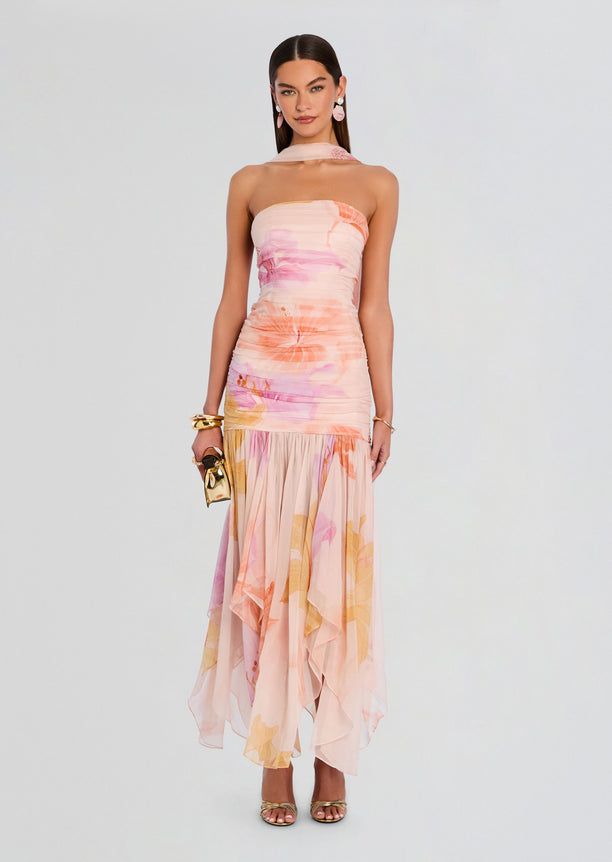 Teryn Silk Chiffon Dress