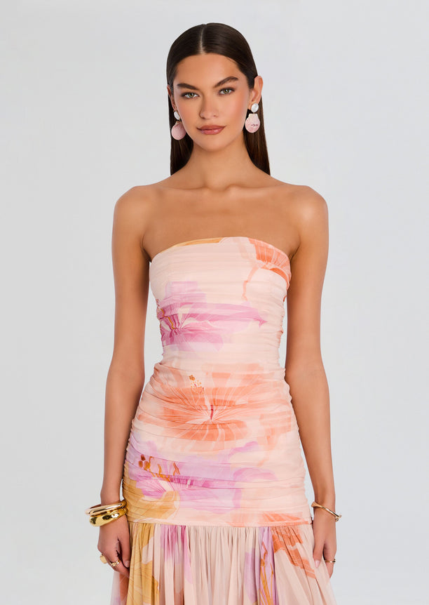 Teryn Silk Chiffon Dress