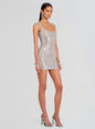 Theolonia Sequin Dress