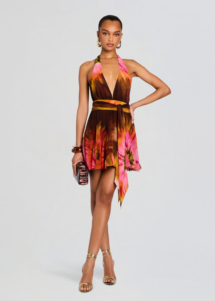 Briola Chiffon Dress media 1 of 5