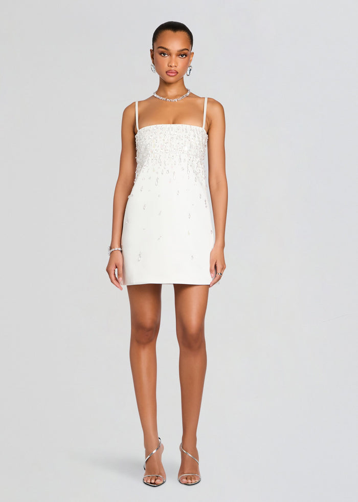 Cornelia Embellished Dress media 1 of 5
