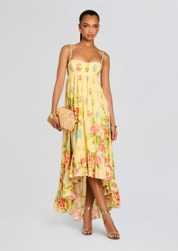 Dhun Long Dress