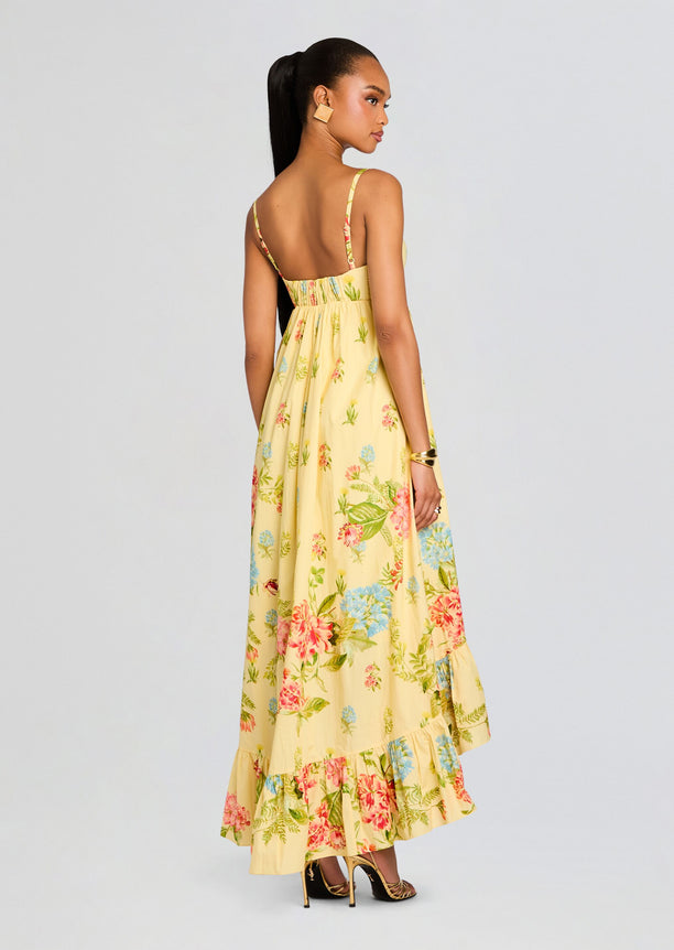 Dhun Long Dress
