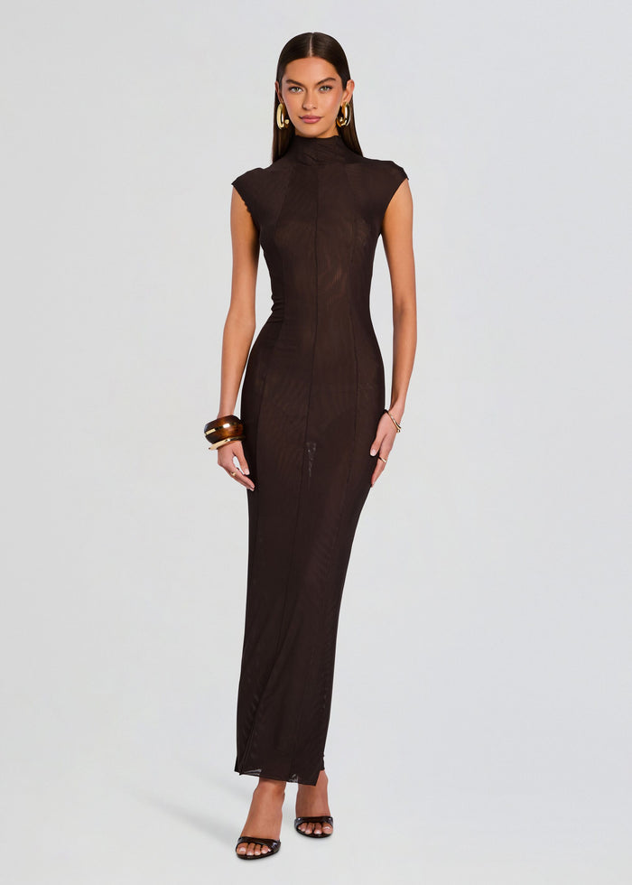 Laissa Mesh Maxi Dress media 1 of 5