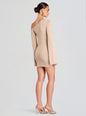 Koa Mini Dress thumbnail media 4 of 5