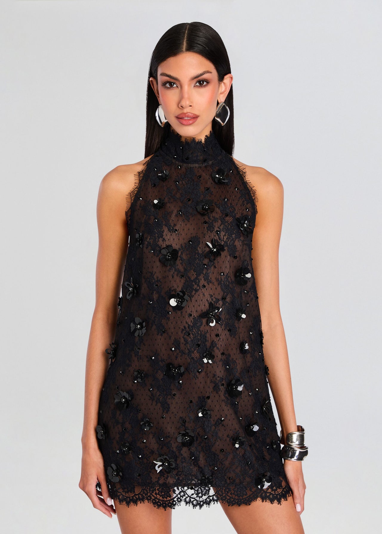 Banks Embellished Lace Dress  Retrofete
