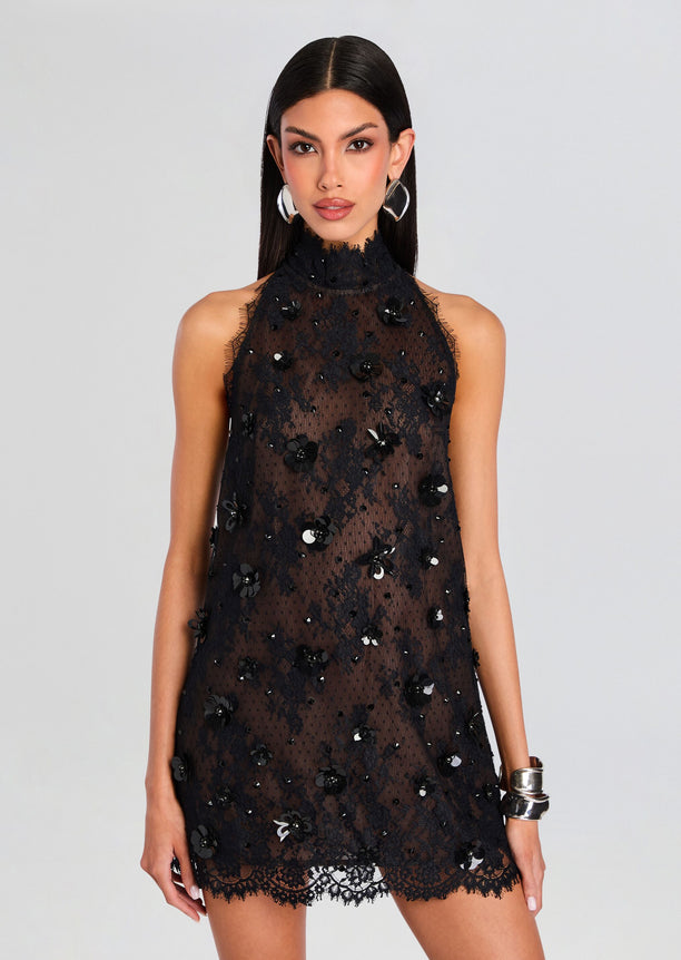 Banks Lace Dress