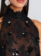 Banks Lace Dress thumbnail media 2 of 5