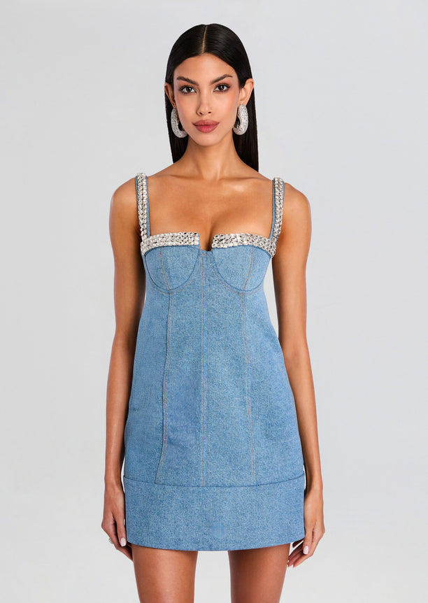 Elin Denim Dress