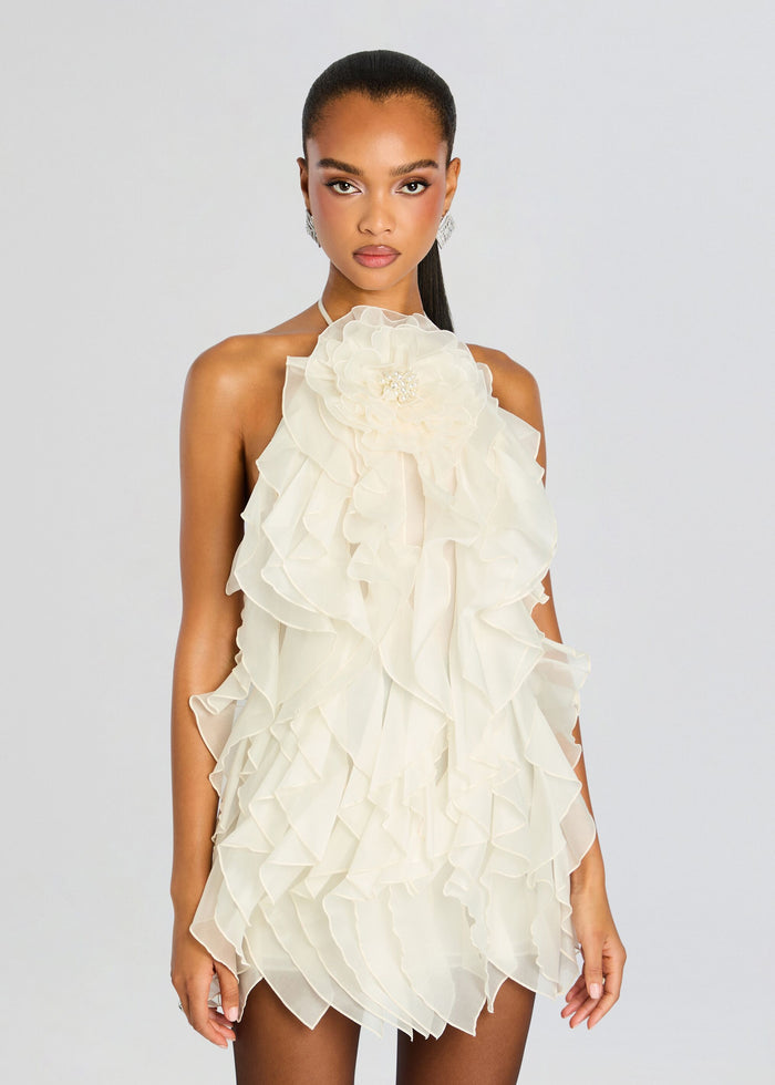 Arina Dress media 5 of 5