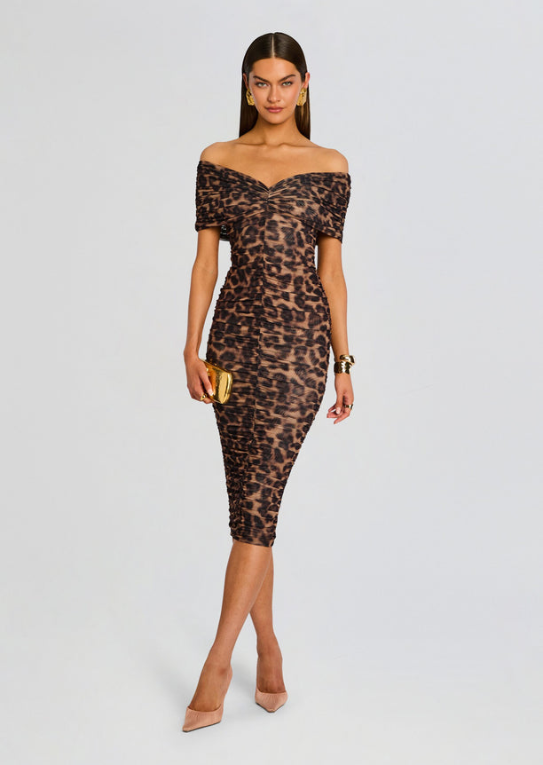 Gianina Mesh Midi Dress