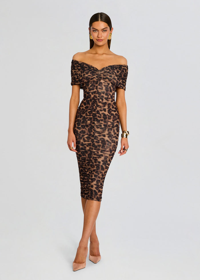 Gianina Mesh Midi Dress media 1 of 5