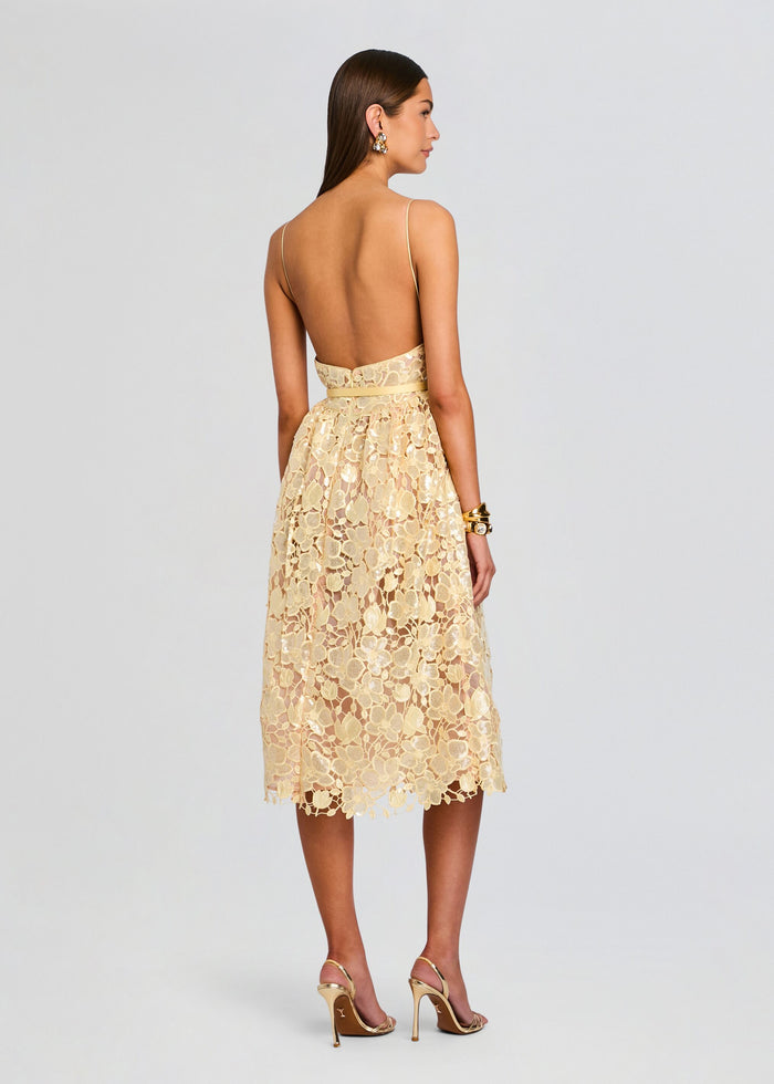 Back view of a champagne lace sequin midi dress with thin straps and a slim belt at the waist media 4 of 5