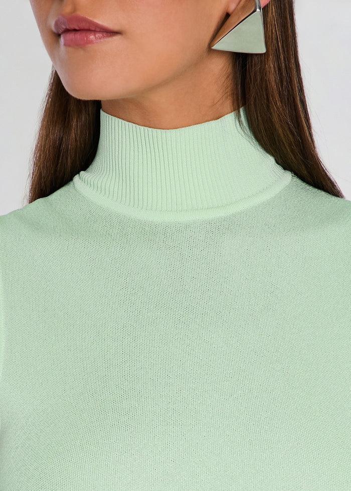 Close-up of mint ribbed turtleneck neckline from the Amine Knit Maxi Dress media 2 of 5