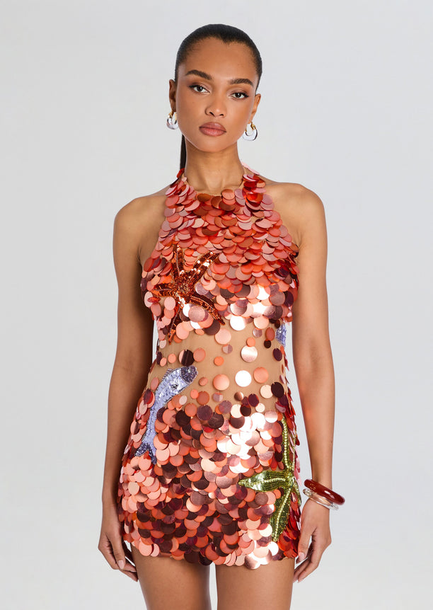 Dorothy Embroidered Dress