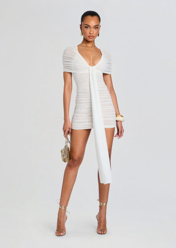 Winslow Mesh Dress
