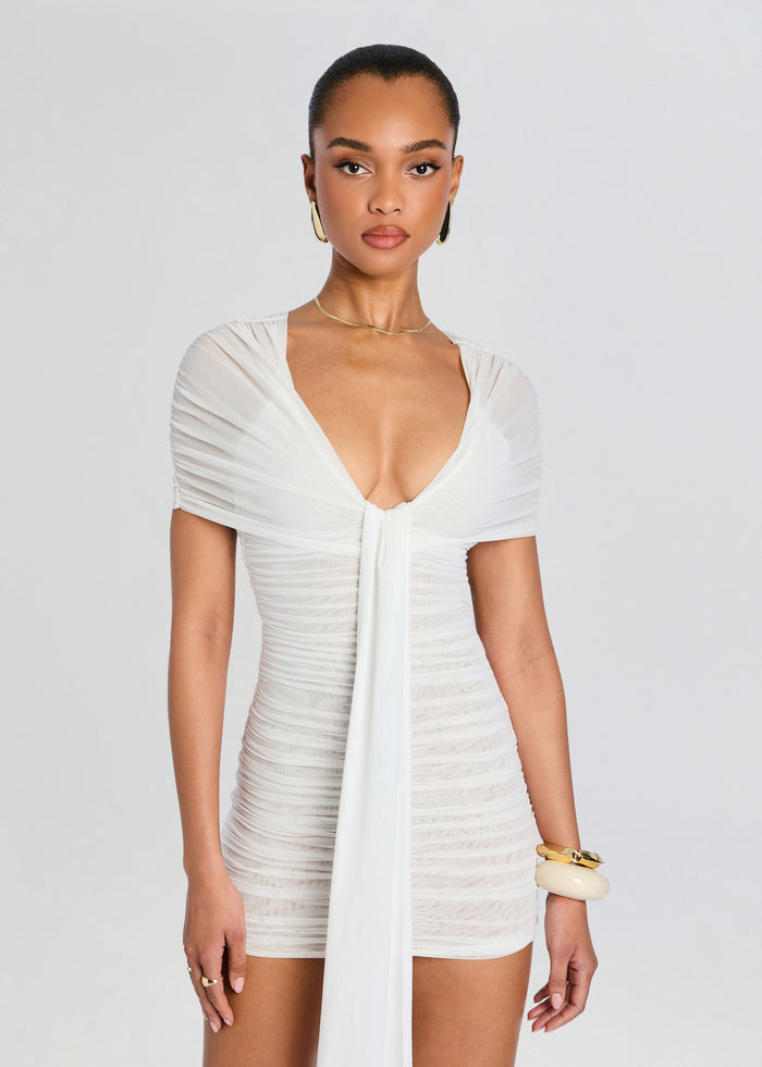 Winslow Mesh Dress media 5 of 5