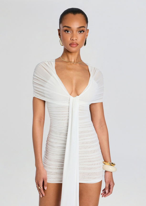 Winslow Mesh Dress