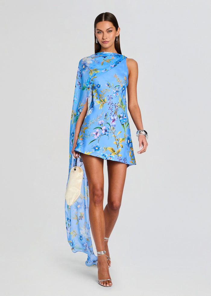 Ayka Sash Mini Dress media 1 of 5