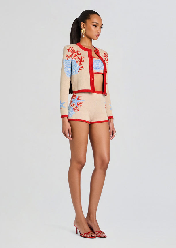 Aralyn Knit Cardigan