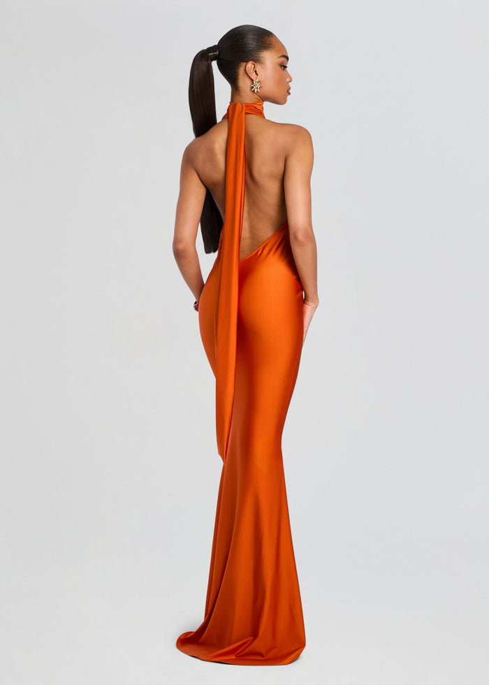 Tala Maxi Dress media 4 of 5