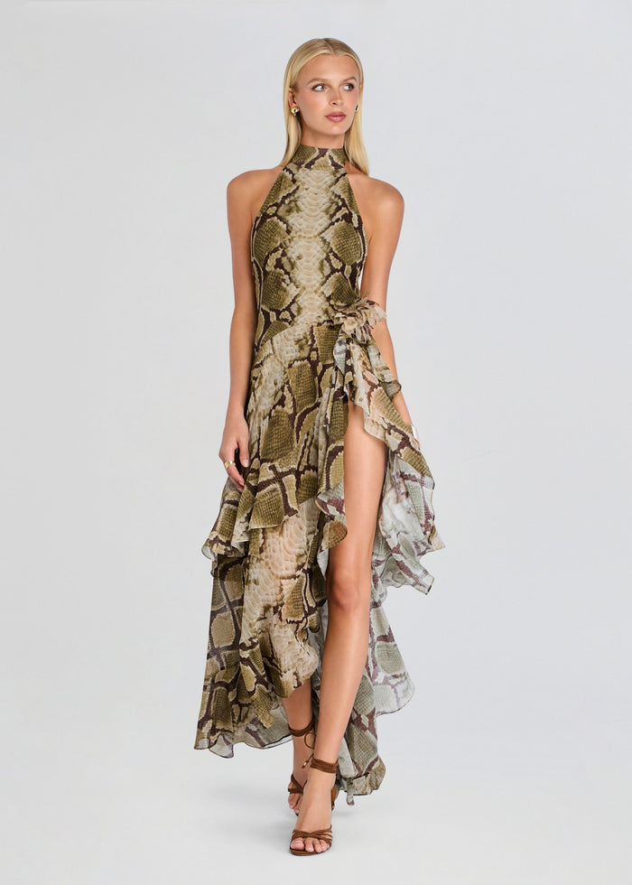 Nevae Chiffon Dress media 1 of 5