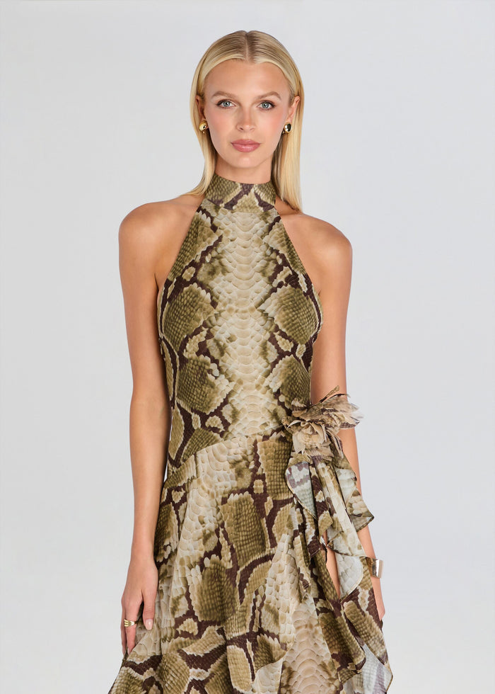 Nevae Chiffon Dress media 5 of 5