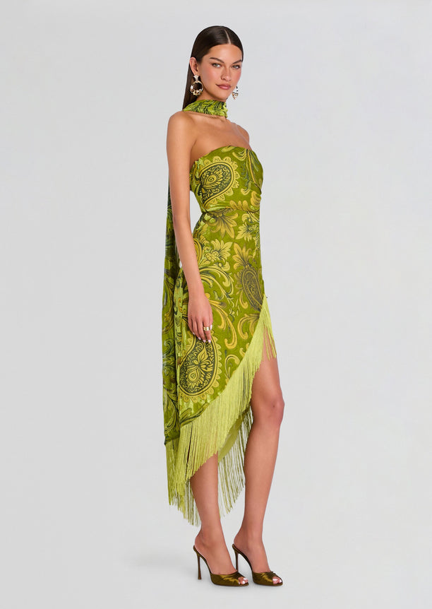 Statice Velvet Dress