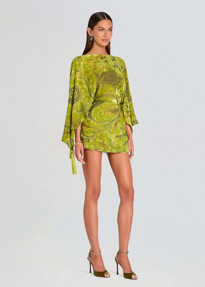 Camassi Velvet Dress media 3 of 5