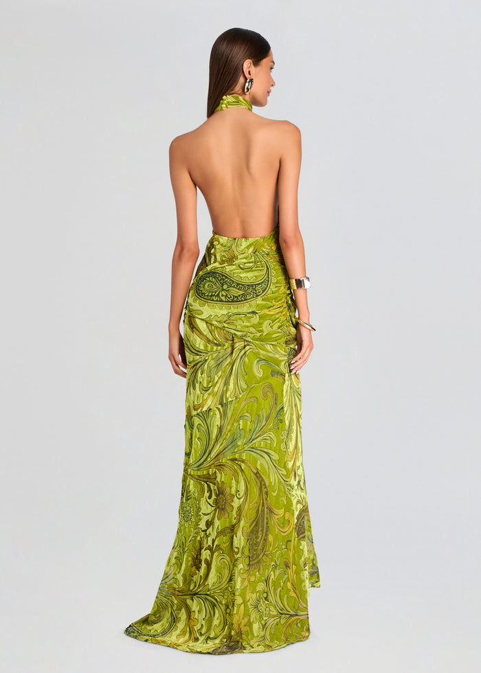 Protea Velvet Dress media 5 of 5