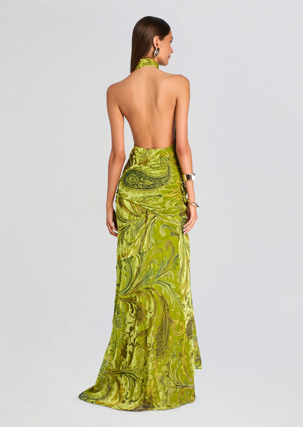 Protea Velvet Dress