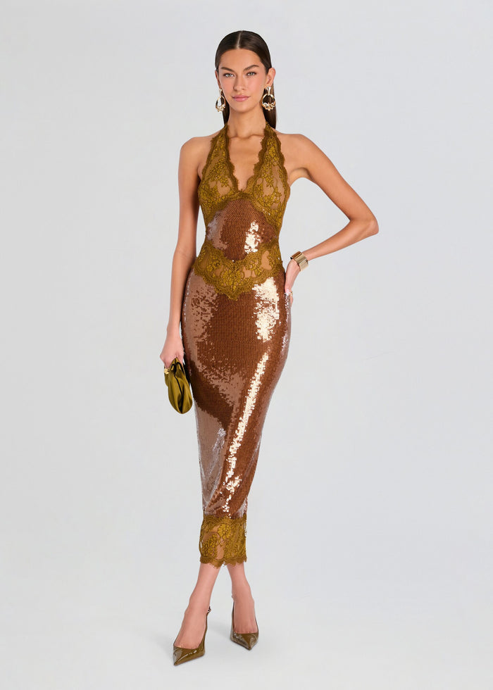 Vicky Sequin Lace Dress media 1 of 5