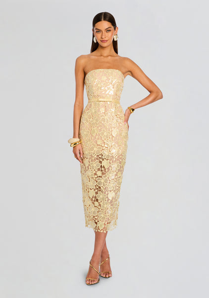 Rowena Sequin Lace Dress – Retrofete