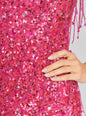 Heather Sequin Star Fringe Dress