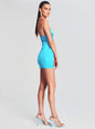 Janessa Dress