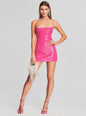 Hudson Sequin Knit Dress