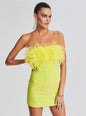 Torin Sequin Feather Dress