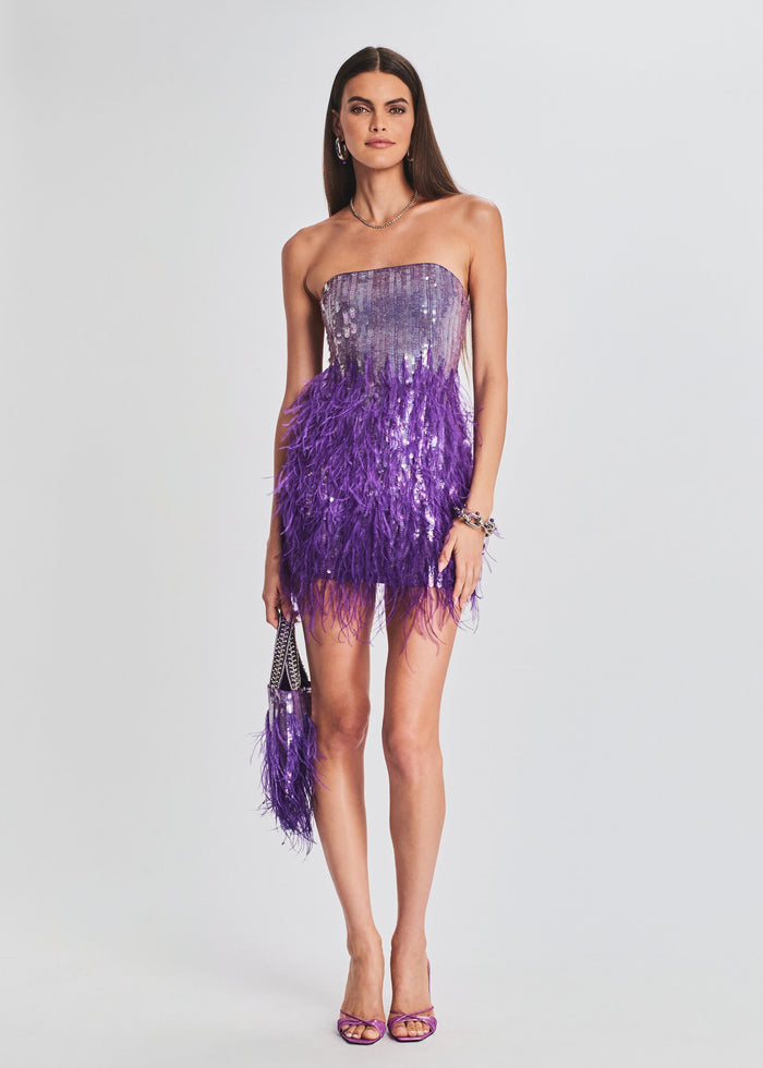 Anastasia Sequin Feather Dress