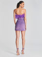 Torin Sequin Feather Dress