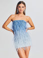 Sofia Feather Dress