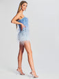Sofia Feather Dress