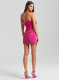 Torin Sequin Feather Dress - Retrofete