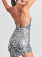 Sirena Feather Sequin Dress