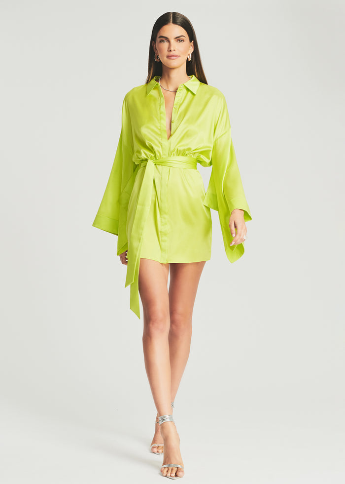 Scottie Silk Dress - Retrofete